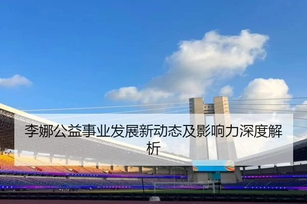 李娜公益事业发展新动态及影响力深度解析